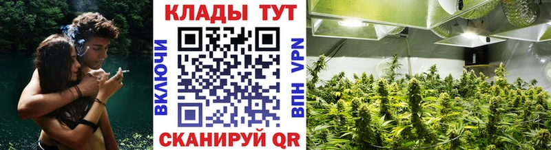 Как найти закладки Бор A-PVP  Вейп ТГК  ГАШ  Меф мяу мяу 