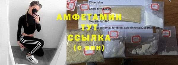 индика Беломорск