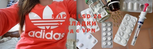 индика Беломорск