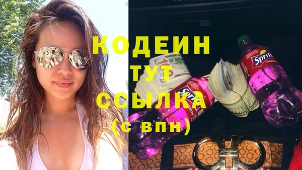 индика Беломорск