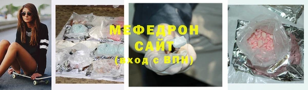 индика Богданович