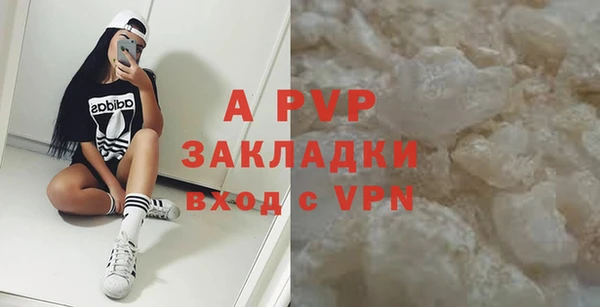 индика Беломорск