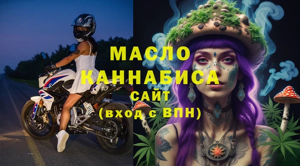индика Беломорск