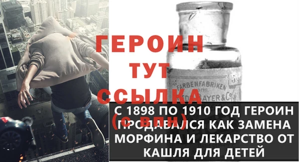 индика Богданович