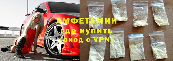 индика Беломорск